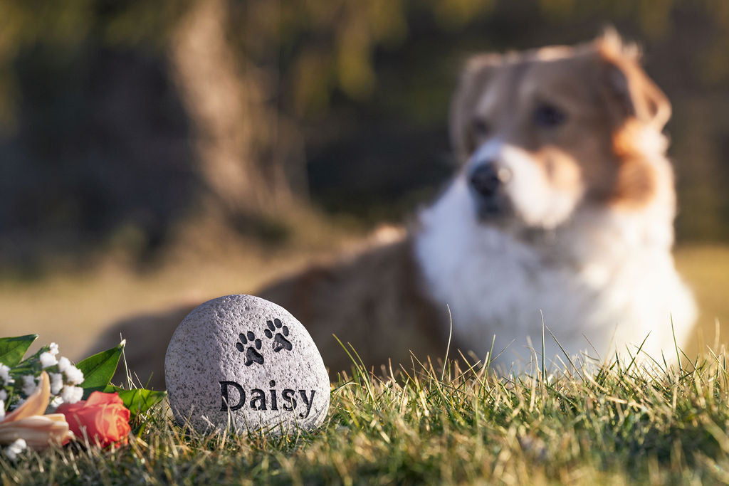 Small Pet Stone Memorial